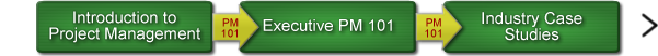 Project Management 101 Flow